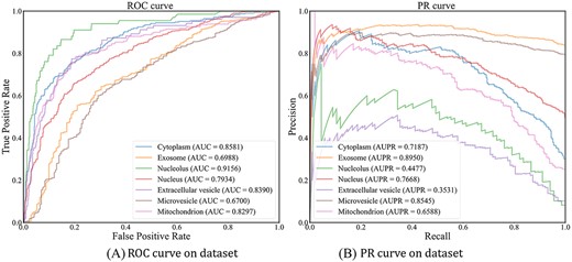 Performance on PR and ROC curve.