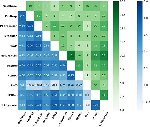 Spearman correlation coefficients of prediction score (bottom–left triangle blue matrix) and overlapped sequence number of ranked top 20 predictions (top–right triangle green matrix) between any two predictors on sequences in P_Rep.