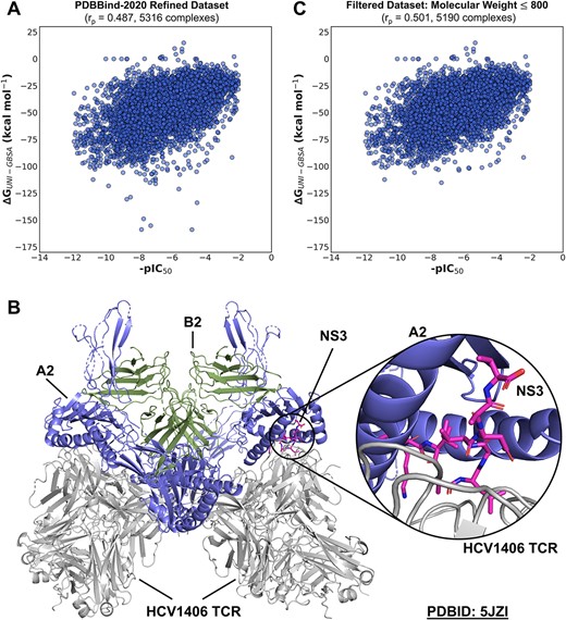 Scoring power of Uni-GBSA on PDBBind-2020 refined dataset. (A) Correlations between binding free energy calculated by Uni-GBSA and experimental binding affinity on the PDBBind-2020 refined dataset. r$_{p}$ refers to the Pearson correlation coefficient. (B) Structure of the T-cell receptor (TCR) variable domains relative to the peptide-MHC complex. The complex composes of the peptide nonstructural protein 3 (NS3) and the human leukocyte antigen class I histocompatibility antigen A-2 alpha chain (A2). B2 refers to beta-2-microglobulin. (C) Correlation between binding free energy calculated by Uni-GBSA and experimental binding affinity on the PDBBind-2020 filtered dataset after removal of ligands with molecular weights greater than 800 g mol$^{-1}$.