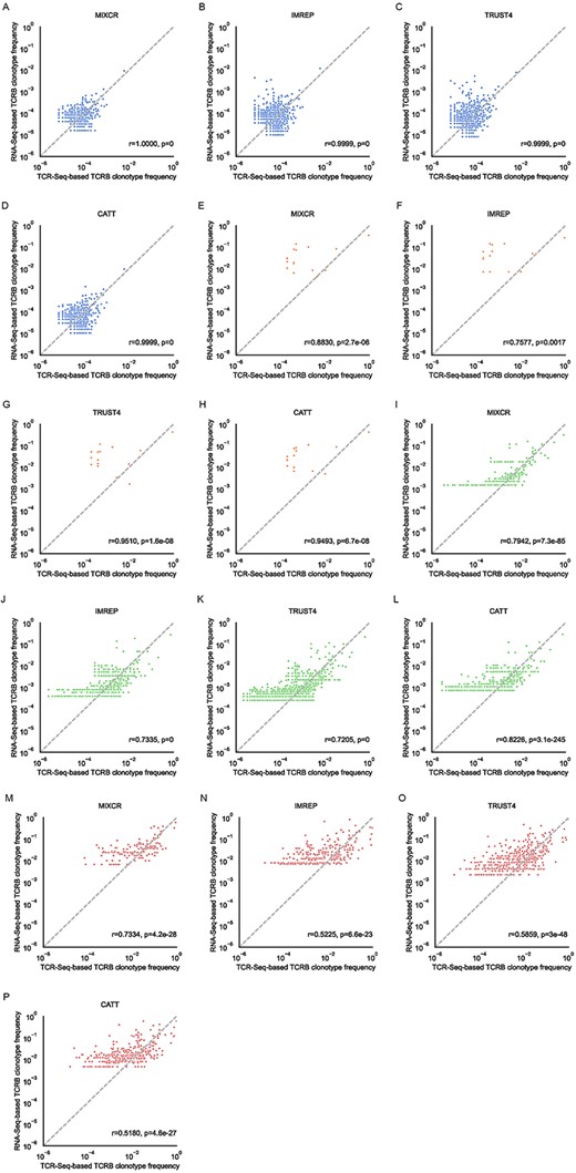Correlation of TCRβ clonotype frequency based on the TCR-Seq data (x-axis) and the TCR-derived reads from RNA-seq (y-axis). Only clonotypes assembled from both TCR-Seq and RNA-Seq data are presented. The clonotype frequencies are renormalized to only the set of clonotypes in the TCR-Seq and RNA-Seq repertoire space. The clonotype frequencies are log-transformed. Pearson correlation coefficients and the corresponding P-values are calculated and reported. (A–D) The results of T-cell-rich low SDI samples (blue). (E–H) The results of T-cell-poor low SDI samples (orange). (I–L) The results of T-cell-rich high SDI samples (green). (M–P) The results of T-cell-poor high SDI samples (red).