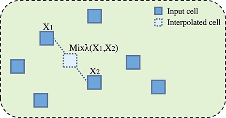 Mixing up $X_{1}$ and $X_{2}$ to obtain a new interpolation cell data.