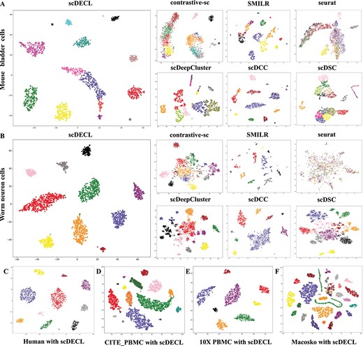 The visualization of the identified clusters of scDECL and six competitive methods. Each point represents a cell, and each color indicates different cell type. (A) The worm neuron cells. (B) The mouse bladder cells. (C) The human kidney cells. (D) The CITE-seq PBMC cells. (E) The 10X PBMC cells. (F) The macosko mouse retina cells.