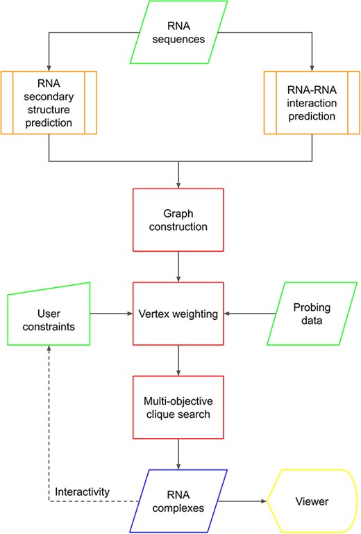Flowchart describing the C-RCPred method. Input data are represented in green. The predictions of RNA secondary structures and RNA–RNA interactions (in orange) are computed by external bioinformatics tools. The three main steps of the algorithm are represented in red. Output predicted RNA complexes can be visualized and then recalculated if needed using new user-defined constraints.