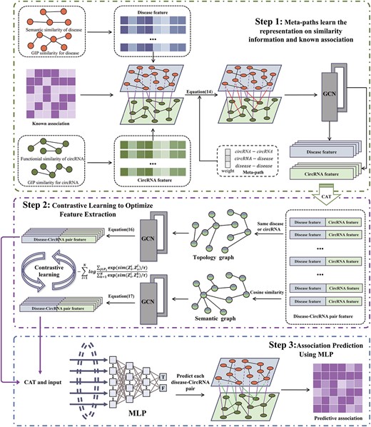 The flowchart of MPCLCD. Step 1, the similarity information and known associations are used to identify useful meta-paths and multi-hop connections to learn representations of circRNAs and diseases, respectively; Step 2, the topological network and semantic network of CDA are constructed, and each node of the two networks is a concatenation of circRNA and disease representation. The node features in the two networks are extracted based on GCN, and the feature extraction is optimized using contrastive learning; Step 3, MLP is used to predict the association between circRNA and disease.