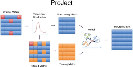 ProJect algorithm workflow. The theoretical distribution is generated to provide a basis for the imputation of missing values in a matrix. To facilitate this process, the original matrix is split into two components: a pre-training matrix, which is used to train the model parameters, and a filtered matrix, which serves as input to the model. The missing values are then replaced by the prediction of the model and formed the imputed matrix.