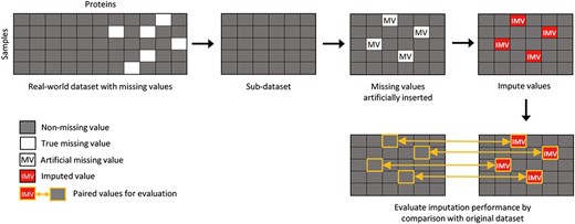 Visualization of the experimental workflow. We first remove all proteins in the real-world dataset that contain at least one MV, creating a “subset data” with no missing values. We then artificially insert missing values into the subset data. The imputed values generated by MVI methods are then compared to the original values to evaluate their accuracy using multiple evaluation metrics.