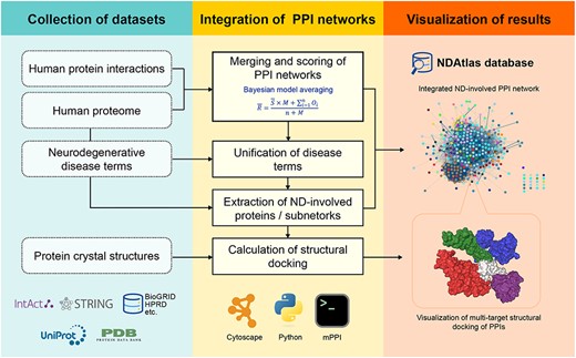 The workflow of integration of PPI networks and isoforms and structural docking data.