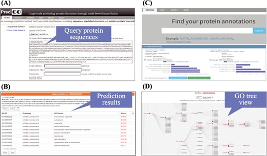 PredGO web server. (A) Enter query protein sequences; (B) prediction results; (C) database search, statistics and download; (D) visualization of GO annotations.