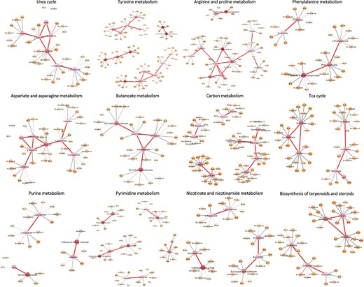 Sub-networks associated with the severity of COVID. Selected metabolic sub-network with metabolite nodes are larger and feature nodes are smaller. The shade of nodes represents metabolite/feature importance. The darker the color, the higher the importance score. The thickness of the edges between features and metabolites represents the confidence of the edge based on the model.