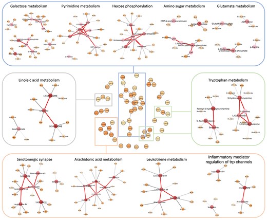 Selected metabolites from the aging mouse brain data. Middle: Selected metabolites and their connection on the KEGG metabolic network. Functional analysis of the local structure in the sub-network are shown in different color boxes. The shades of color on nodes represent the importance score. The darker the color, the higher the importance score. The thicker the edge between features and metabolites, the higher the confidence.