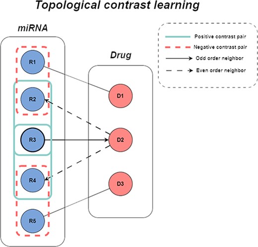 The figure of topological contrastive learning.