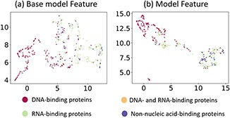 Visualization of the ensemble features generated by Basic-Model and iDRPro-SC on test dataset TEST474. (a) The ensemble feature of the Basic-Model. (b) The ensemble feature of the iDRPro-SC.