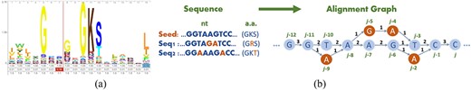 (a) Example HMM logo of RNA helicase in norovirus. (b) Example of a sequence alignment graph constructed from three sequences. All nodes are numbered in topological order from $j-12$ to $j$.