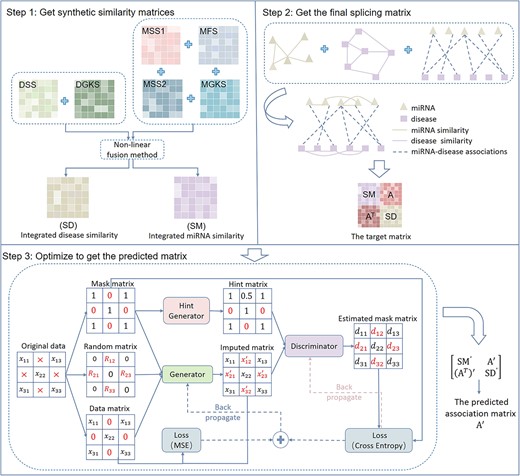 The flowchart of GAMCNMDF. (1) Get synthetic similarity matrices. (2) Get the final splicing matrix. (3) Optimize to get the predicted matrix, where gradient descent with momentum is used to optimize the aforementioned crucial equation.