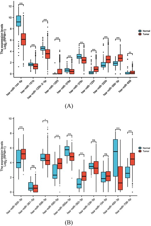 The results of the miRNA differential expression. (A) Ten predicted miRNAs for lung neoplasms. (B) Ten predicted miRNAs for gastric lung neoplasms.