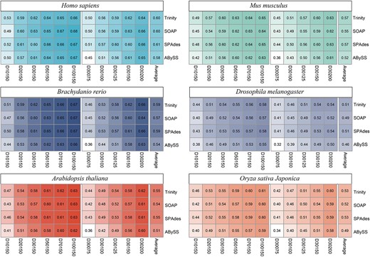 Performance comparison of four de novo transcript assemblers combined with JCcirc. The numbers in each grid cell indicate the F1 score of the corresponding assembly method. The last column ‘Average’ of each subgraph represents the average of F1 score for 10 datasets on each species.