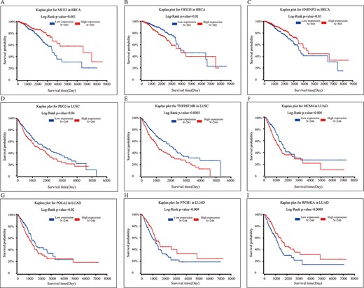 Drug targets used as predictors of survival for three cancer types. (A–C) Three biomarkers predicting survival (NR1I2, FBXO5 and HNRNPD) in patients with BRCA. (D–E) Two biomarkers predicting survival (PEG3 and TNFRSF10B) in patients with LUSC. (F–I) Four biomarkers predicting survival (MCM4, POLA2, PTCH1 and RPS6KA) in patients with LUAD.