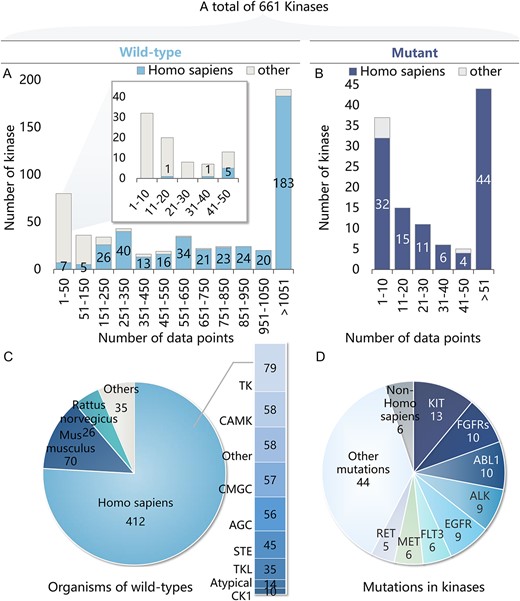 Statistics of the dataset. (A) Statistics of wild-type kinase data: Histogram illustrates the distribution of tasks across different ranges of data sizes. Each task represents a class of kinase and data points correspond to the inhibitors of the kinase. (B) Statistics of mutant kinase data. (C) Distribution of organisms and subfamilies of wild-type kinases. (D) Distribution of subfamilies of mutant kinases.