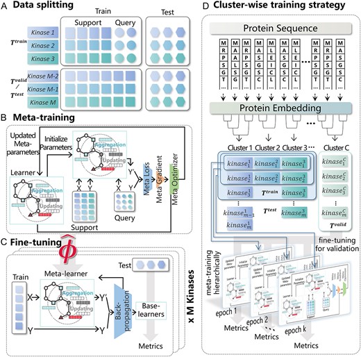 Data splitting strategy and training process. (A) Data Splitting Strategy. (B) The meta-training phase. (C) The fine-tuning phase. (D) Cluster-wise training strategy.