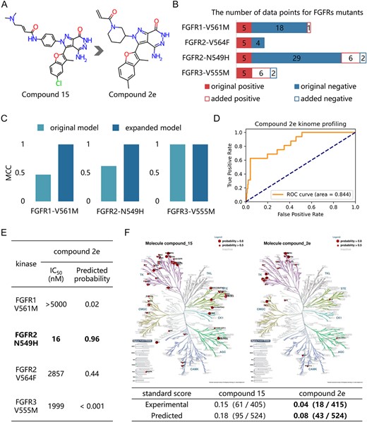The retrospective analysis of the inhibitors targeting understudied FGFR mutants. (A) Chemical structures of compound 15 and 2e. (B) Distribution of data points in the base-learners for FGFR1-V561M, FGFR1-V564F, FGFR2-N549H and FGFR3-V555M. The solid bars indicate the original number of samples, while the hollow bars indicate the number of samples added. (C) Model performance measured by MCC for the original and expanded base-learners for FGFR1-V561M, FGFR2-N549H and FGFR3-V555M. (D) Model performance measured by ROC curve of compound 2e against 331 predictable kinases screened in the Kinomescan panel. (E) Inhibitory activities and predicted active probability of compound 2e against FGFR mutants. (F) Phylogenetic tree depicting predicted profiles for compound 15 (left) and compound 2e (right). The table presents standard scores obtained from the experimental and predicted profiles for these compounds.
