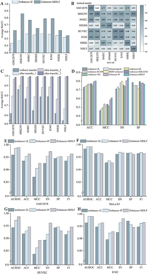 Comprehensive performance evaluation across multiple aspects. (A) Average BACC for cross-cell line prediction on eight cell lines. (B) Heat map of BACC in cross-cell line evaluation. Columns represent pre-trained models trained on different training sets, and rows represent testing on their own or other cell lines’ test sets. (C) Exploration of Transfer Learning Strategies: Three transfer learning strategies are presented to address the challenge of poor direct prediction performance in cross-cell line evaluation. (D) Performance comparison of Enhancer-MDLF with other methods on a universal dataset. (E–H) Performance comparison of Enhancer-MDLF with other methods on enhancer–promoter datasets.
