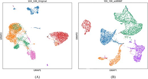 UMAP visualization of the clustering performance of scMNMF with the 10X_10K dataset. (A) Original 10X_10K dataset. (B) 10X_10K dataset after clustering by scMNMF.