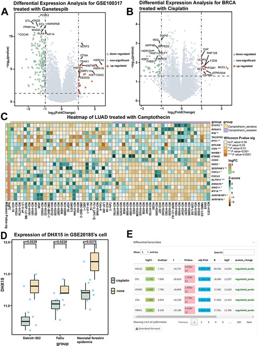 Differentially expressed gene analysis module: differential gene expression analysis in control/drug-treated groups (drug-sensitive/resistant groups). (A) The results of gene difference analysis between the ganetespib drug treatment group and the control group in GSE100317 are shown in the volcano plot. (B) The results of differentially expressed gene analysis between cisplatin-treated and control breast cancer cell lines in GDSC are shown in a volcano plot. BRCA, breast cancer. (C) Heatmap showing the results of differentially expressed gene analysis: between camptothecin-sensitive and drug-resistant lung adenocarcinoma cell lines in GDSC. P-values were calculated by the Wilcoxon rank sum test. ns: P > .05; *: P < .05; **: P < .01; ***: P < .001; ****: P < .0001. LUAD, Lung adenocarcinoma. (D) The box plot demonstrates the difference in DHX5 expression in different cell lines in GSE20185 before and after treatment with cisplatin. P-values were calculated by the Wilcoxon rank sum test. (E) The table shows the results of the analysis of the variance module.