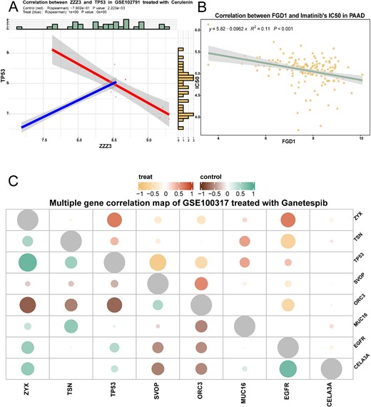 Genetic correlation analysis module: correlation analysis of multigene expression/single gene expression with drug IC50 before and after drug treatment. (A) The scatter plot demonstrates the correlation between ZZZ3 and TP53 before and after cerulenin treatment in GSE120791, and the R value was calculated by Spearman. (B) The scatter plot shows the correlation between the expression of the FGD1 gene and IC50 in pancreatic cancer cases treated with imatinib. The R value was calculated by the Spearman algorithm. (C) The bubble plots demonstrate the polygenic correlations in GSE100317 for the ganetespib treatment group compared to the control group. The upper right corner represents the correlation in the treatment group, and the lower left corner represents the correlation in the control group.