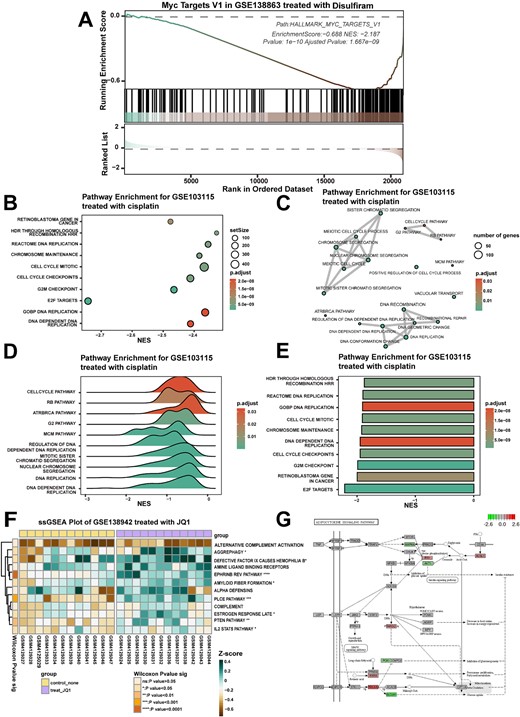 Pathway enrichment analysis module: enrichment analysis of differentially expressed genes in a specified set of genes before and after drug treatment. (A) The GSEA plot demonstrates the enrichment of GSE138863 in the MYC gene set in the treatment and control groups of disulfiram. (B–D) Dot, bar and ridge plots showing the significantly altered gene set sequencing of GSE103115 in the treated and control groups of cisplatin, respectively. (E) The enrichment analysis graph demonstrates the significantly altered gene set of GSE130437 in the palbociclib-treated and control groups. (F) The heatmap shows the results of ssGSEA of pathway enrichment in the GSE138942 JQ1 treatment and control groups. ns: P > .05, *: P < .05; **: P < .01; ***: P < .001; ****: P < .0001. (G) Pathview plots show the changes in the expression of individual genes in the ‘adherens junction’ gene set in GSE107707 after treatment with JQ1.