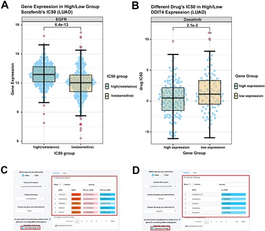 Drug analysis module: comparison of drug IC50 values under high and low gene expression groupings (or comparison of gene expression under high and low drug IC50). (A) Box plot showing EGFR gene expression in the sorafenib-sensitive and drug-resistant groups of LUAD cases in TCGA. P-values calculated by the Wilcoxon rank sum test. LUAD, lung adenocarcinoma. (B) Box plots show the IC50 of the high and low expression groups of the LUAD cell line DDIT4 gene dasatinib in GDSC. P-values were calculated by the Wilcoxon rank sum test. (C and D) The table shows the calculated results of batch screening for differentially expressed genes (C) and drugs (D). Darker background colour of logFC in green indicates a more significant downregulation of gene expression.