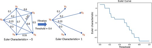 Pictorial representation of the process of constructing an EC curve of a graph: (i) filter the graph using a given threshold and compute the corresponding Euler characteristic, (ii) plot the EC for a sequence of increasing thresholds.