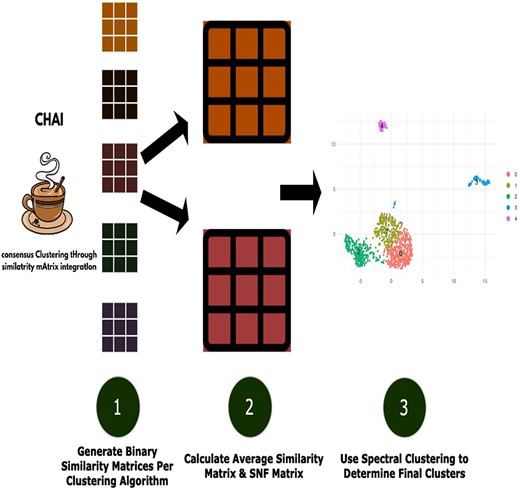 Flowchart depicting the CHAI workflow.