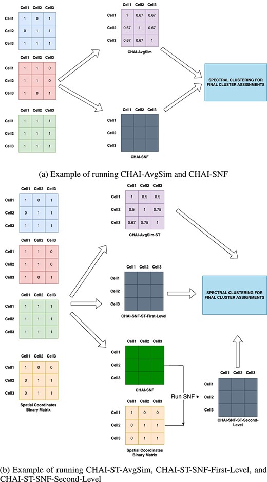 CHAI Workflow Examples.