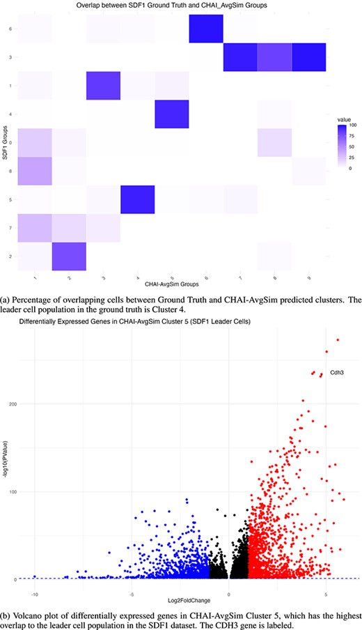 CHAI-AvgSim analysis of CDH3 leader cell population in SDF1-induced migration dataset.