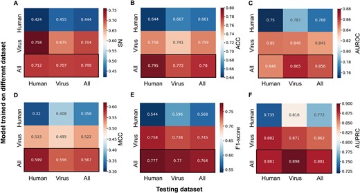 Heat map of models trained on different datasets and evaluated on testing datasets. Each model is evaluated on three different testing datasets. The performance is assessed using the following metrics: (A) sensitivity (SN), (B) accuracy (ACC), (C) area under the receiver operating characteristic curve (AUROC), (D) Matthews correlation coefficient (MCC), (E) F1-score, and (F) the area under the precision–recall curve (AUPRC).