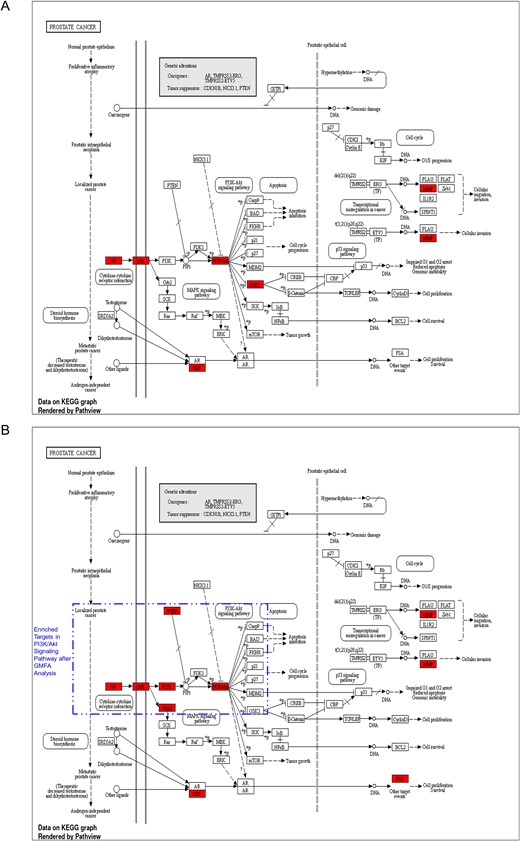 Comparison of prostate cancer KEGG pathway enrichment between PTM-mPC and GMFA-ED. (A) KEGG pathway enrichment analysis of PTM-mPC targets for prostate cancer. (B) KEGG pathway enrichment analysis of GMFA-ED targets for prostate cancer with significant enrichment in the PI3K/Akt signaling pathway following the GMFA analysis, indicating the identification of additional relevant therapeutic targets of MAT against mPC.