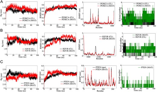 Results of molecular dynamics (MD) simulation analysis illustrating radius of gyration (Rg), root mean square deviation (RMSD), root mean square fluctuation (RMSF), and number of H bonds for three distinct MAT–proteins and cocrystal ligand–protein complexes: (A) PI3KCA, (B) IGF1R, (C) PTEN.