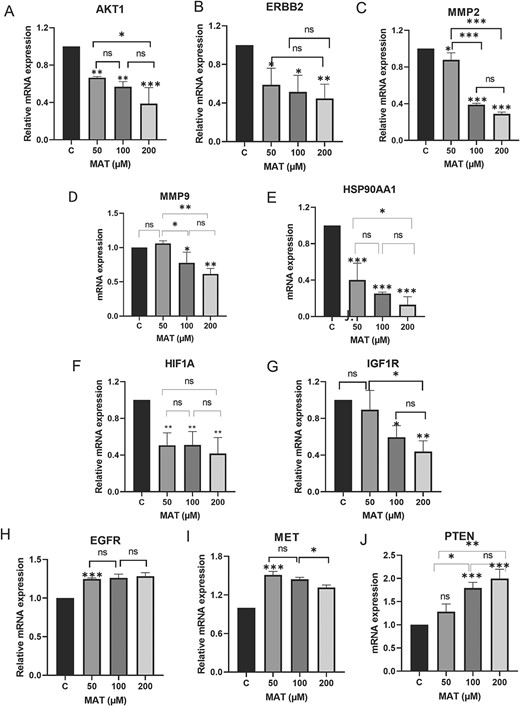 Effects of MAT on mRNA expression levels of hub targets identified as potential therapeutic targets of MAT against mPC. Data represent mean ± SD of three independent experiments (n = 3) conducted in triplicates, with *P ≤ .05, **P ≤ .01, and ***P ≤ .001, indicating statistical significance.