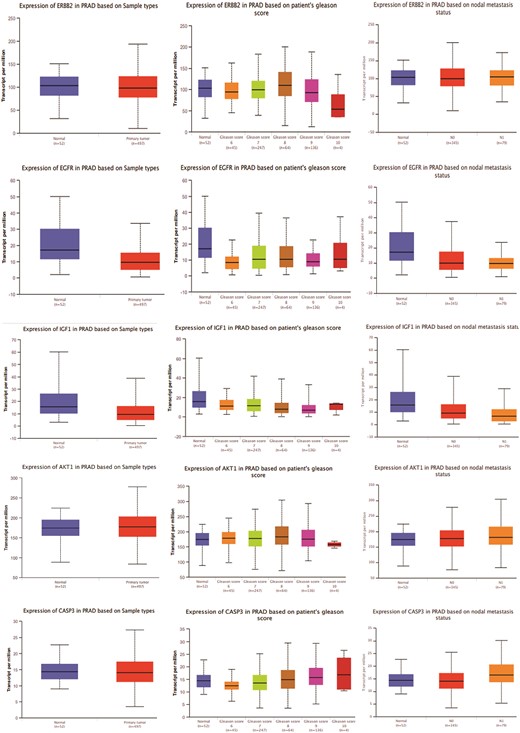 Gene expression patterns of top 11 hub targets across normal and tumor tissues of PRAD based on sample types, patient’s Gleason score, and nodal metastasis status obtained from the UALCAN platform.