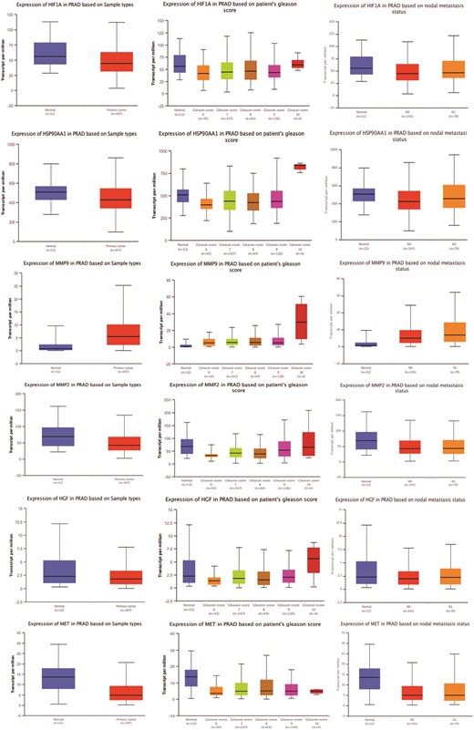 Gene expression patterns of top 11 hub targets across normal and tumor tissues of PRAD based on sample types, patient’s Gleason score, and nodal metastasis status obtained from the UALCAN platform.