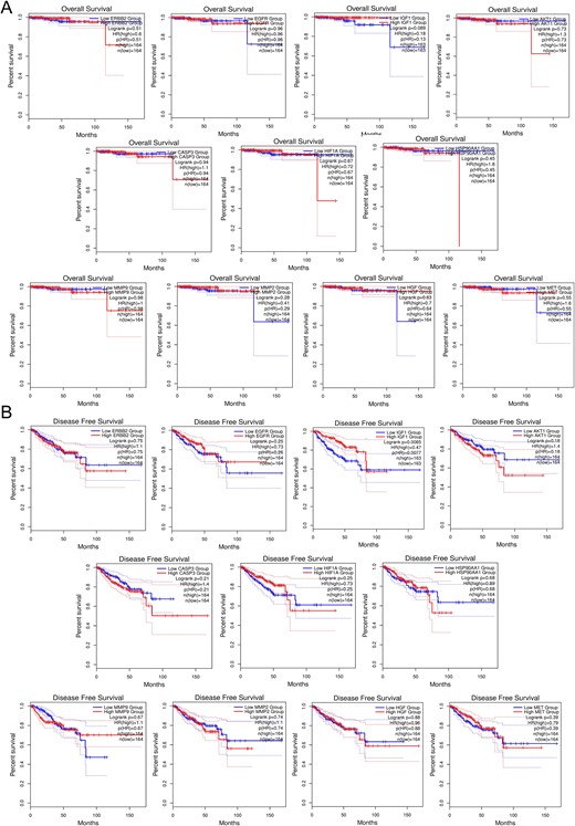 Survival analysis predicting the relationship between gene expression patterns of top 11 hub targets and patient survival outcomes in PRAD. (A) OS analysis. (B) DFS analysis.