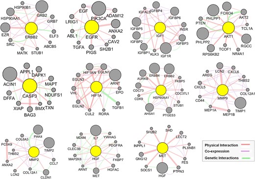 GeneMANIA functional association (GMFA) network analysis illustrating functionally related genes associated with the top 11 hub targets of MAT and the creation of the expanded potential target database against mPC (GMFA-ED).