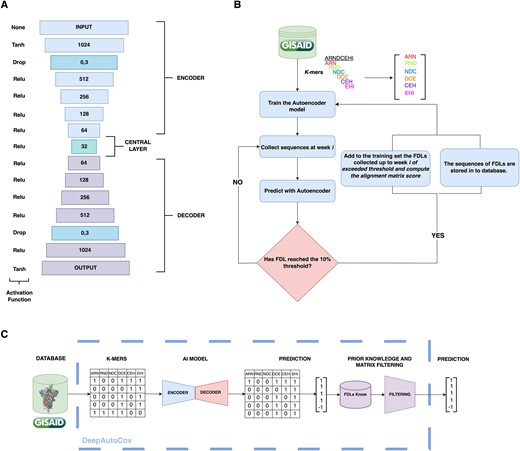 DeepAutoCoV architecture. (A) Layered architecture with decreasing neuron counts in the encoding layers (from 1024 to 64) and increasing counts in the decoding layers (from 64 to 1024). A central layer with 32 neurons introduces Gaussian noise to enhance generalization. The decoding layers mirror the encoding structure. The output layer reconstructs the original input data. (B) Schematic of the genomic surveillance simulation. SARS-CoV-2 spike protein sequences are gathered, converted into k-mers, and filtered. An AutoEncoder outlier detection system is trained. Each week, newly uploaded sequences are evaluated as either FDLs or not. When a FDL reaches the 10% threshold, the model is retrained. (C) Overview of DeepAutoCoV process: k-mers extraction, AutoEncoder, prediction and filtering.