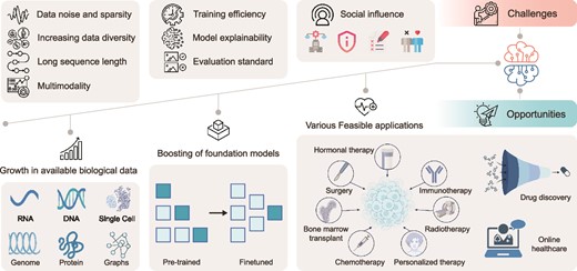 Challenges and opportunities in applying FMs for biological problems. FMs for addressing biological problems face hurdles related to biological data, model structures, and their social influence, which concurrently catalyzes opportunities in bioinformatics due to the increasing availability of biological data, advancements in FMs, and their versatile real-world applications. The top half of this figure outlines challenges such as data noise and sparsity, increasing data diversity, long sequence length, and multimodality in biological data collection. Additionally, challenges in training efficiency, model explainability, and establishing evaluation standards in model design and construction are depicted. Social influences, including ethics and fairness, privacy concerns, potential misuse, and social bias, further compound these challenges. Conversely, the bottom half of the figure illustrates emerging opportunities driven by the proliferation of diverse biological data types and volumes, including RNA, DNA, scMultiomics, proteins, and knowledge graphs/networks. The enhancement of FMs, particularly through pretrained mechanisms, presents another avenue for progress. Moreover, a wide range of applications spanning surgery, hormonal therapy, immunotherapy, radiotherapy, personalized therapy, chemotherapy, bone marrow transplant, drug discovery, and online healthcare, underscore the potential impact of FMs in bioinformatics. These developments signal a promising trajectory for the application of FMs in addressing biological complexities.