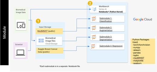The general user workflow for the deep learning module. The user can access the submodules sequentially through the Vertex AI workbench and will use multiple datasets within each submodule. For the classification and augmentation submodules, datasets within the MedMNIST library are used. A cloud storage bucket containing an image dataset is used for the segmentation submodule, while a public dataset regarding breast cancer data is used in the regression submodule.