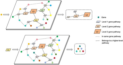 Illustrates the main function of ReactomeNet.