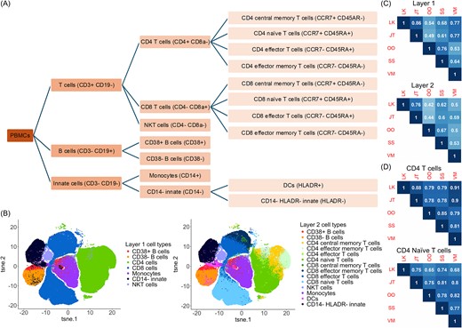 Coherence of manual gating across five raters. (A) A hierarchical layer of the human PBMC populations gated by the selected markers. (B) t-SNE figures indicating the manual gating cell population in Layer 1 and Layer 2 by rater L.K. (C) Average pairwise kappa index among five raters with hierarchical clustering to illustrate the similarity of the raters based on their gating assignments. (D) Pairwise kappa index among five raters on CD4 T cells and CD4 naïve T cells.