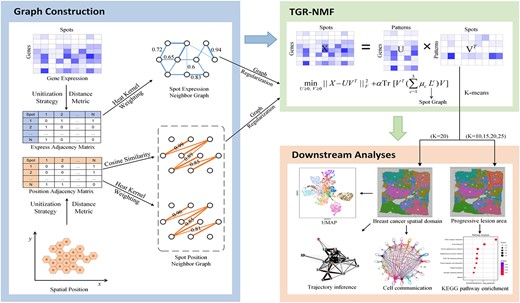 The workflow for deciphering spatial domains in breast cancer spatial transcriptomics.