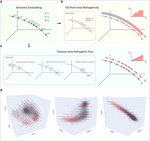 Pathogenic flow in the literature-semantic space. (a) Suppose in the semantic embedding, nine DGs from three different diseases reside on a curve. (b) For the DG point-wise objective, the disease group information is not used, and absolute zero–one labels are the prediction target. As a result, a non-linear function along the curve must be learned. (c) For the disease-wise flow objective, DGs are grouped by disease, and relative flow directions are the prediction target. Because of the cross-disease consistency of the flow, a linear function along the curve will be learned to rank DGs for every disease perfectly. (d) Visualization of the actual pathogenic flow. A smooth, cross-disease consistent field of pathogenic flow is seen residing in the literature-semantic space.