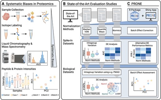 Overview of the evaluation study. (A) MS-based proteomics datasets are affected by systematic biases, attributed to variations in experiment conditions during MS analysis, ranging from sample handling to differences introduced by the instrumentation. These biases distort sample distributions and introduce potential batch effects, particularly in TMT datasets. Existing evaluation studies on proteomics normalization focus on distinct sets of normalization methods, assess intragroup variation on spike-in datasets, and predominantly use the area under the receiver operating characteristic curve (AUC) to analyze the differential expression (DE) results for each normalization method. Most studies conclude their evaluation on biological datasets after calculating intragroup variation metrics due to the absence of a known ground truth. Only very few studies proceed with examining DE results on biological datasets. To perform our comprehensive benchmarking, we developed PRONE, which integrates a broad array of normalization methods and provides batch effect correction, PRONE also expands on previous studies by calculating alternative performance metrics, including false-positive rate and F1 score, rather than relying solely on AUC values. Additionally, batch effects can be evaluated using multiple techniques within the PRONE framework.